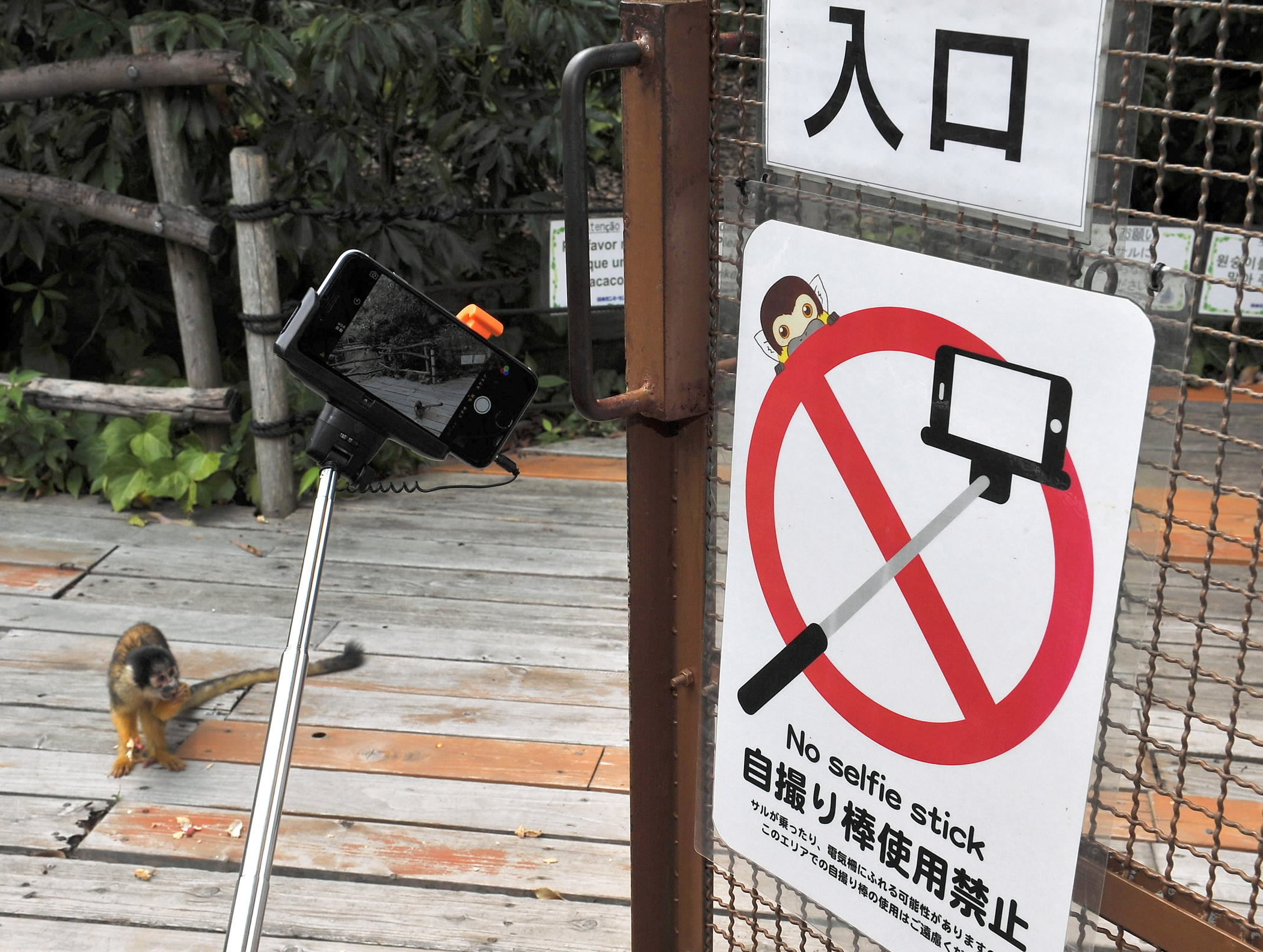 Japan Times